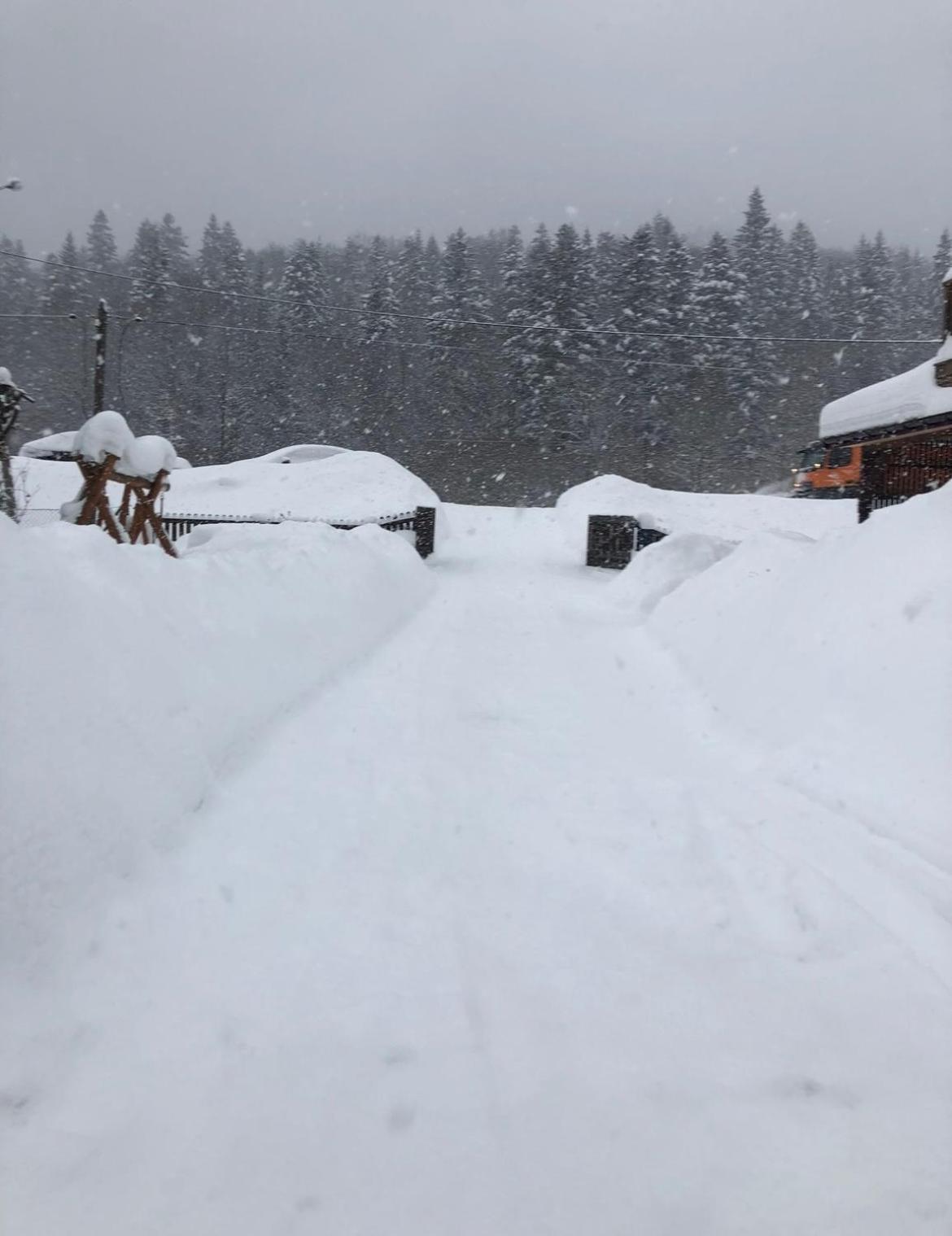 Agroturystyka Dor-Ali U Ali Zubracze Buitenkant foto